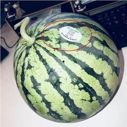 网红吃瓜图片,揭秘娱乐圈幕后真相