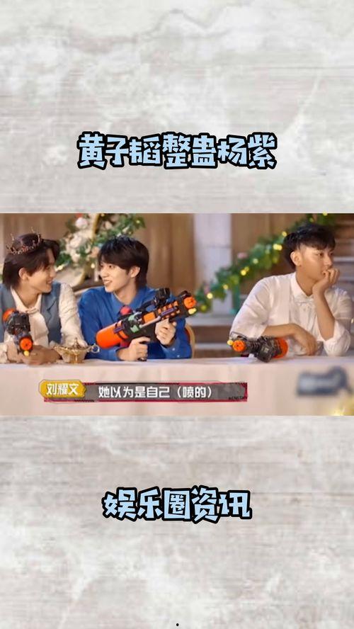 娱乐圈吃瓜小说综艺文