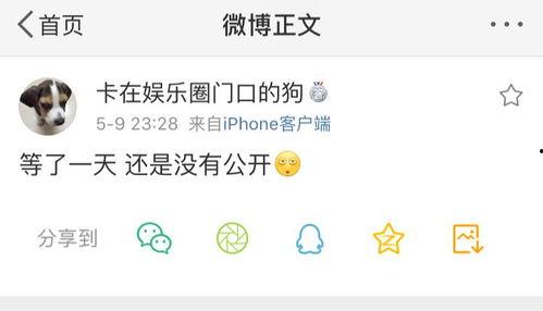 吃瓜爆料违法,揭秘“吃瓜爆料”背后的违法乱象